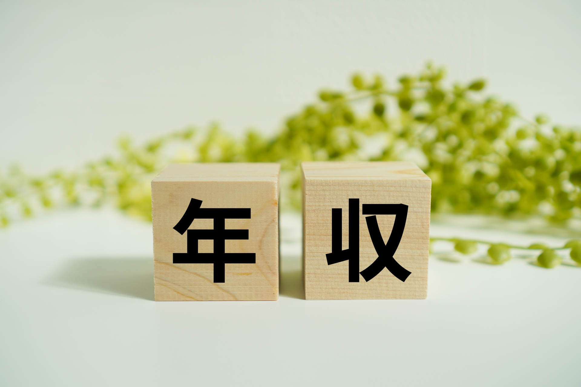 年収と書かれたキューブ2個